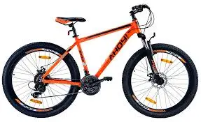 Luxury Bicycle